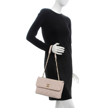Chanel Lambskin Quilted Medium Trendy CC Flap Pink 2 of 23