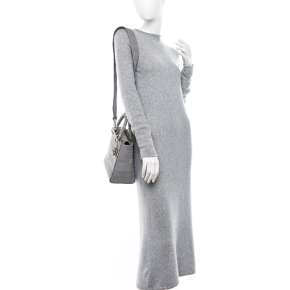 Christian Dior Canvas Embroidered Cannage Medium Lady D-Lite Gray 2 of 10