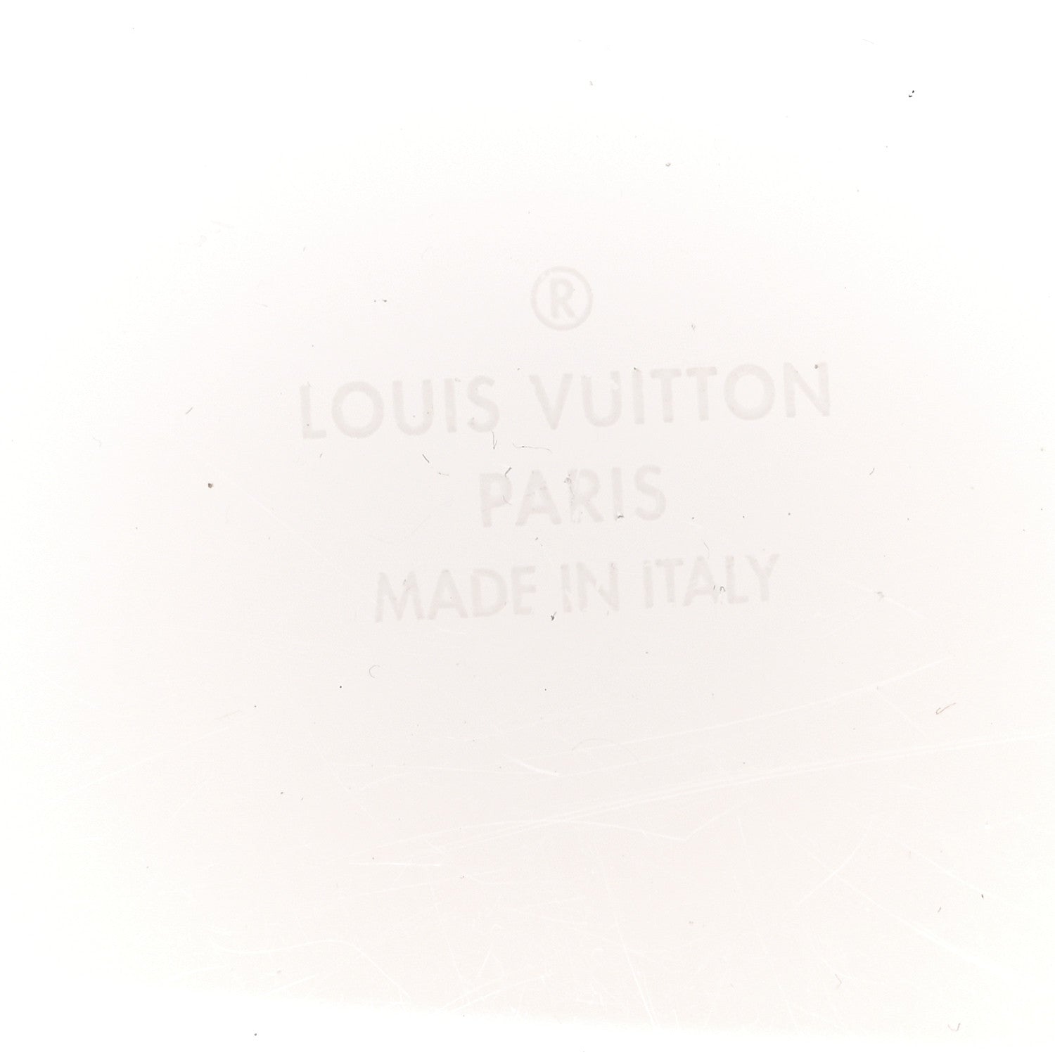 Louis Vuitton Transparent Plexiglass Box Scott Rose Ballerine 6 of 7