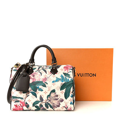 Louis Vuitton Monogram Dune Eden Speedy Soft 30 12 of 12