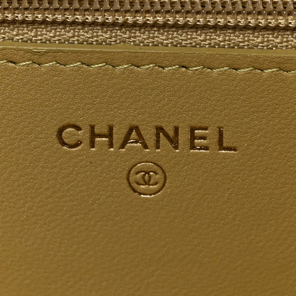 Chanel Lambskin Quilted Chanel 19 Wallet On Chain WOC Light Green 6 of 9