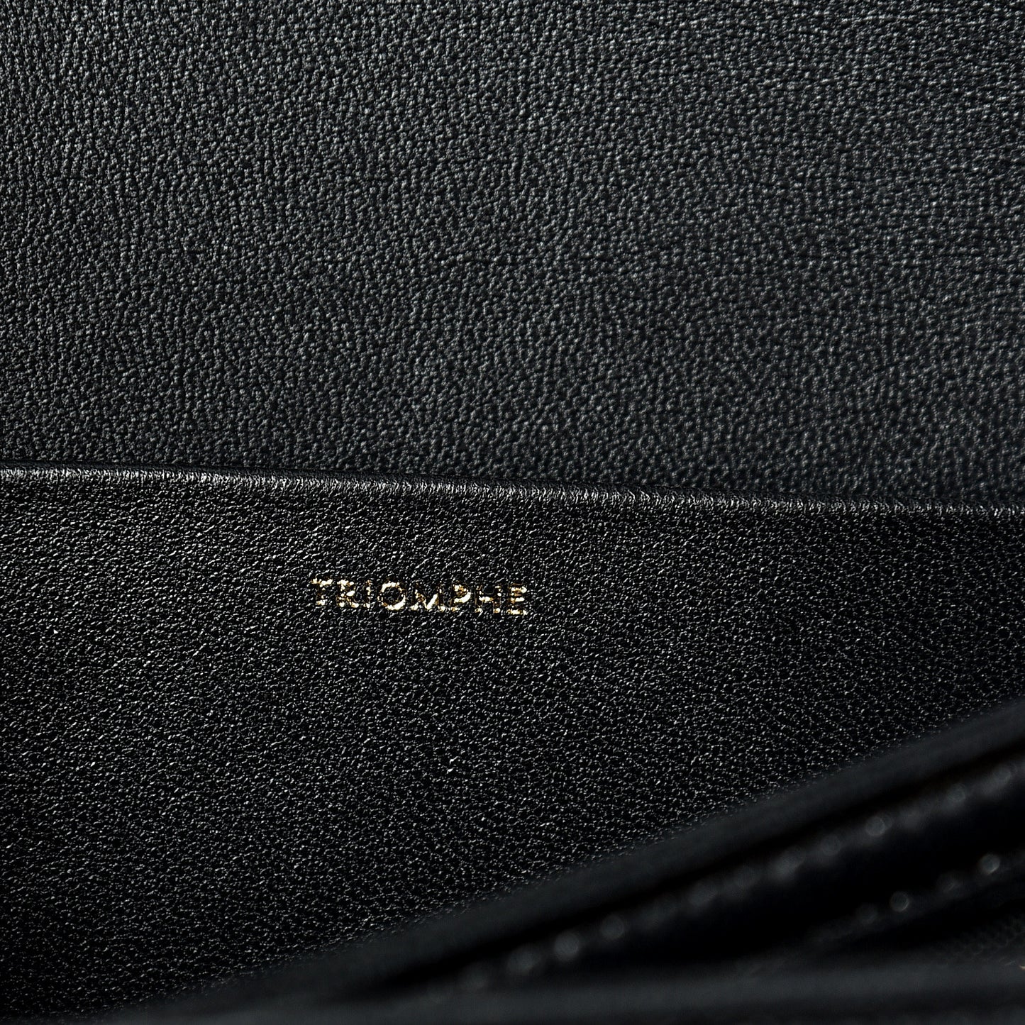Shiny Calfskin Medium Triomphe Black