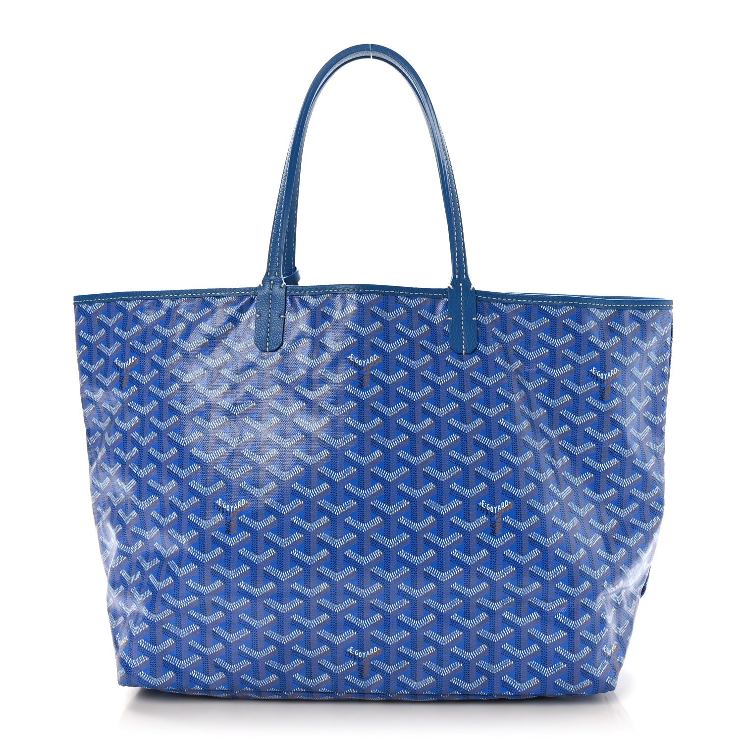 Goyard Goyardine Saint Louis PM Sky Blue 1 of 10