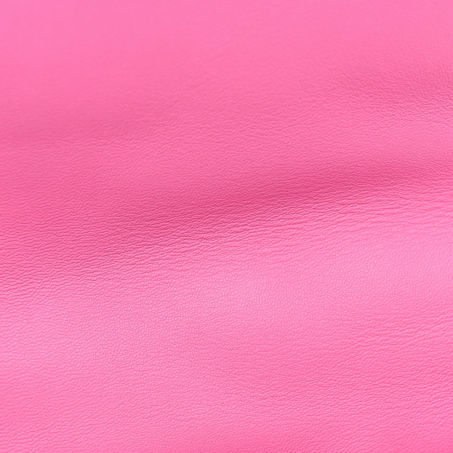 Lambskin Quilted Medium Chanel 19 Flap Pink