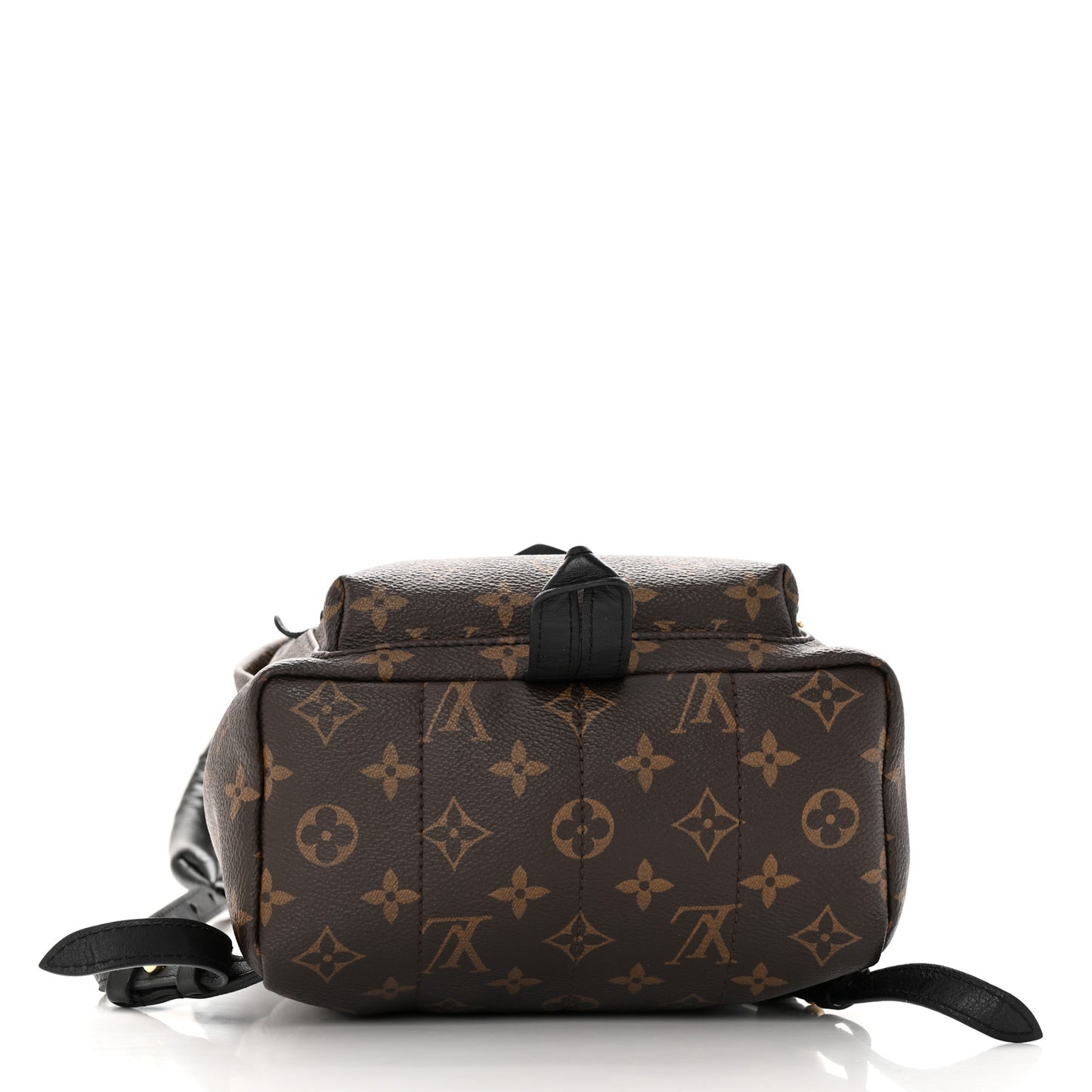 Monogram Palm Springs Backpack PM