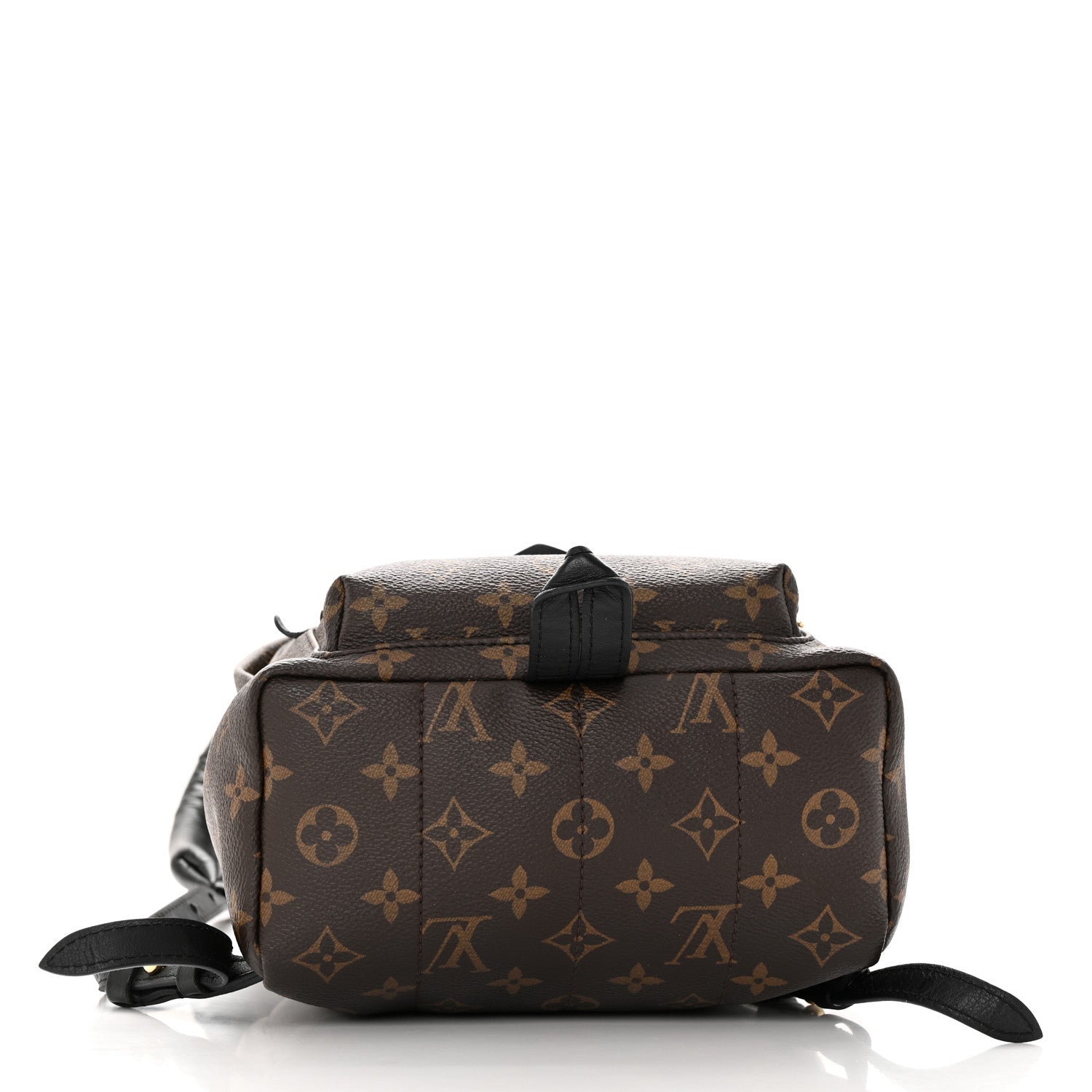 Louis Vuitton Monogram Palm Springs Backpack PM 4 of 14