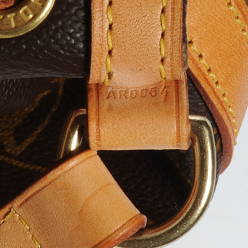 Louis Vuitton Monogram Mini Noe 14 of 17