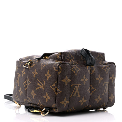 Louis Vuitton Monogram Palm Springs Backpack Mini 4 of 11