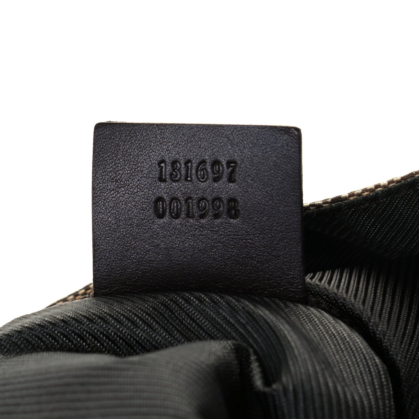 Monogram Web Dog Carrier Dark Brown