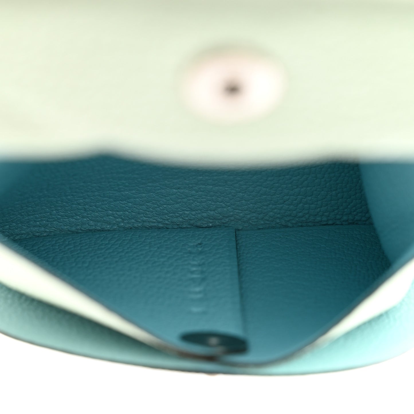 Chevre Mysore Bastia Verso Coin Purse Vert Fizz Bleu Zephyr