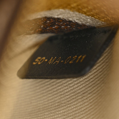 Christian Dior Canvas Embroidered Paisley Medium Lady D-Lite Multicolor 7 of 10