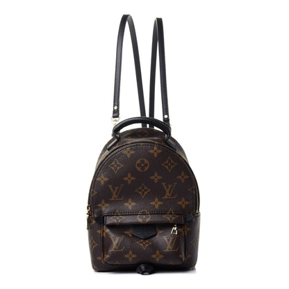 Louis Vuitton Monogram Palm Springs Backpack Mini 1 of 4