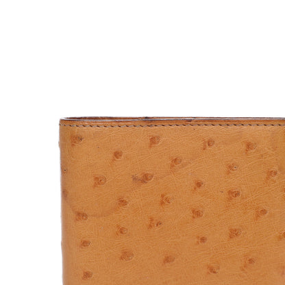 Hermes Ostrich Vision Agenda Cover PM Gold 8 of 12