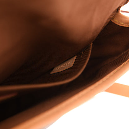 Louis Vuitton Monogram Sologne 6 of 9