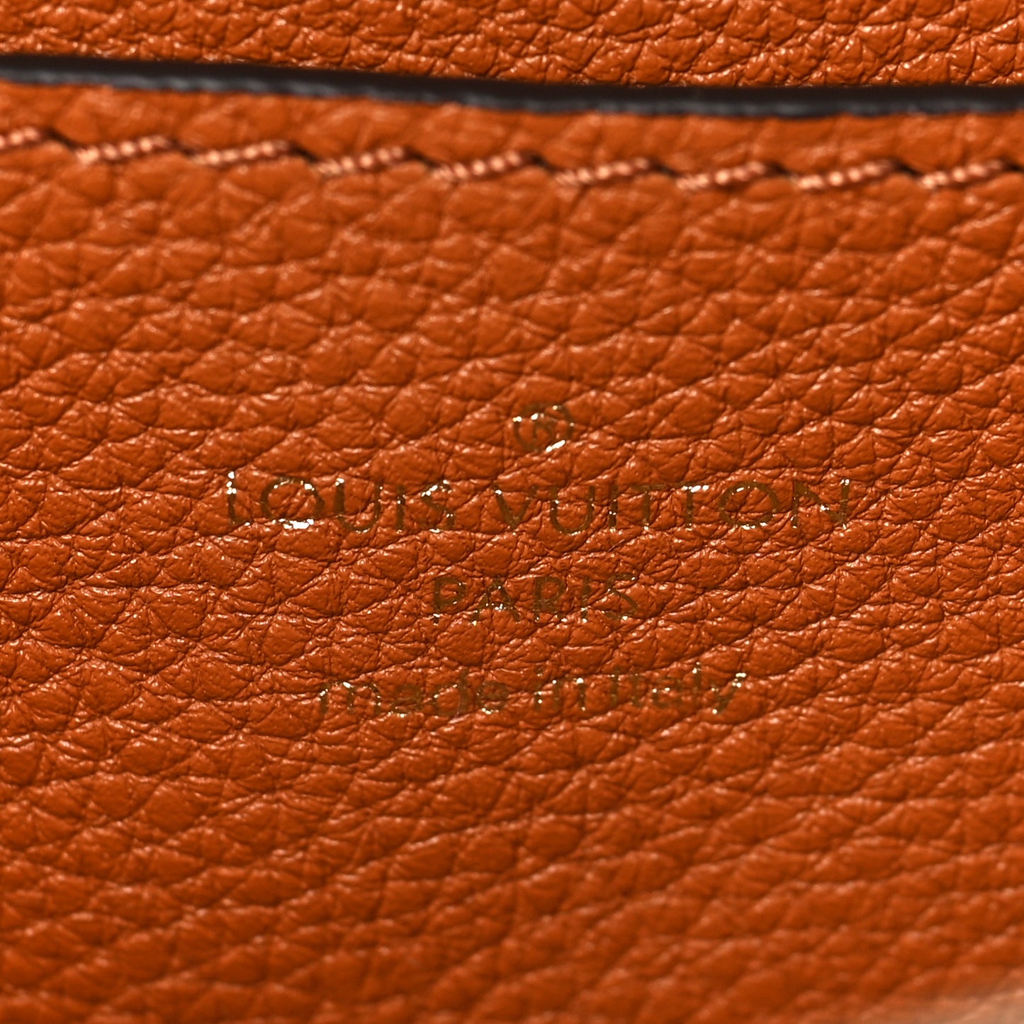 Grained Calfskin LV Pont 9 Soft MM Golden Siena