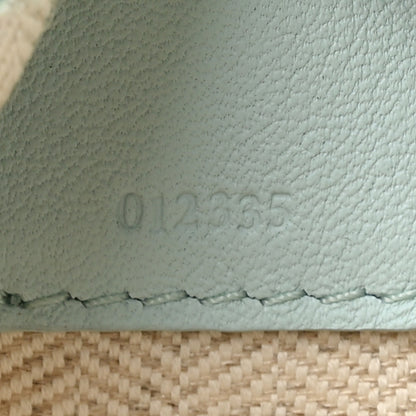 Loewe Calfskin Mini Hammock Hobo Soft Blue Iceberg 7 of 17