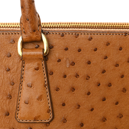 Prada Ostrich Large Galleria Double Zip Tote Cognac 11 of 16