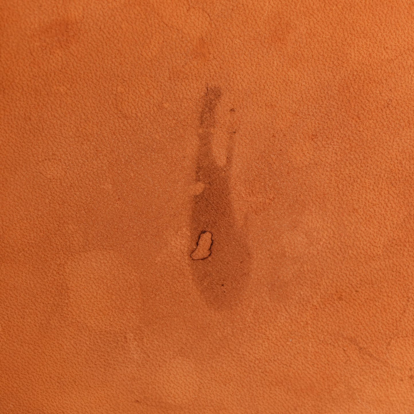 Monogram Mini Noe