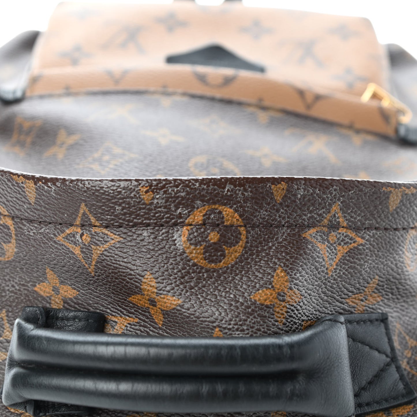 Reverse Monogram Palm Springs Backpack PM