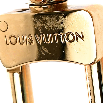 Louis Vuitton Vachetta Adjustable Speedy Bandouliere Shoulder Strap 5 of 5