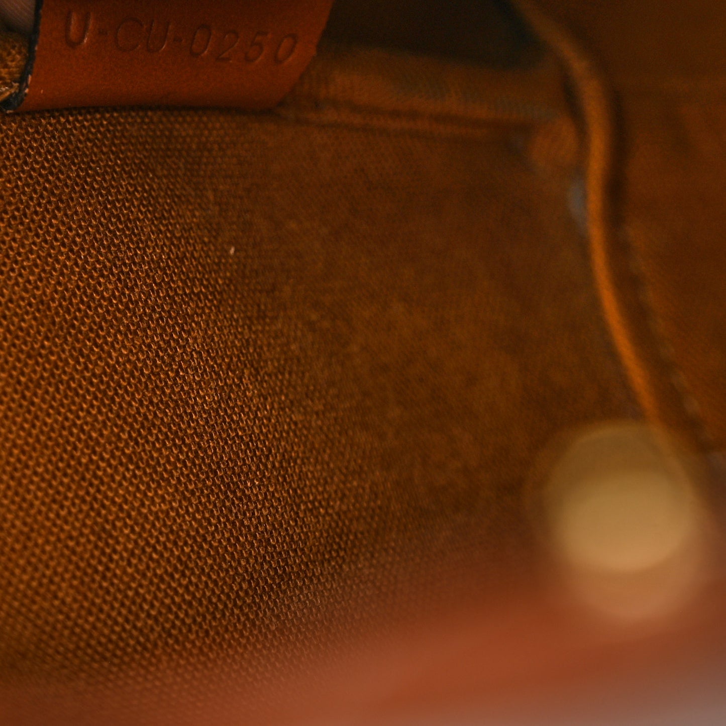 Triomphe Canvas Calfskin Medium Bucket Bag Tan