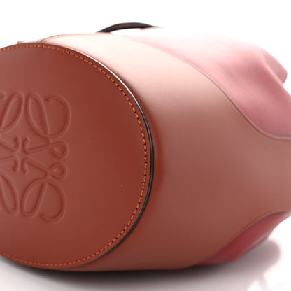 Loewe Calfskin Medium Balloon Bucket Bag Burgundy Tan 10 of 10