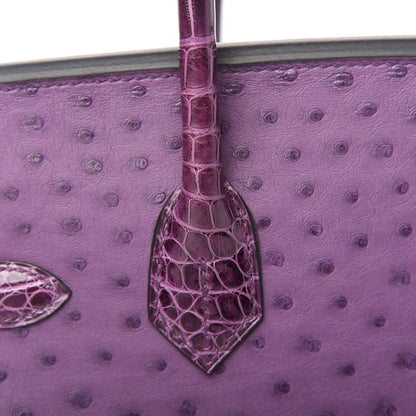 Hermes Ostrich Shiny Alligator Birkin Touch 30 Violine 10 of 34