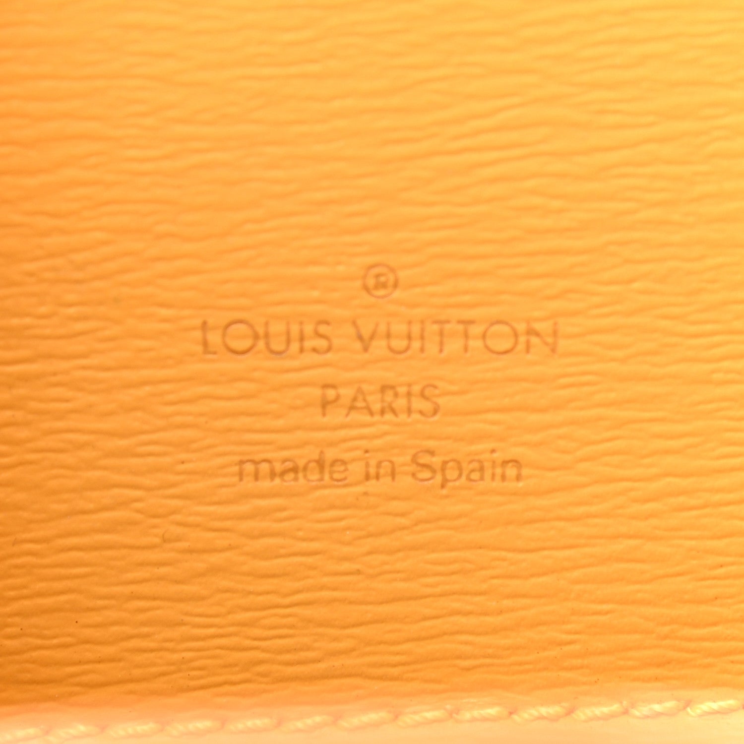 Louis Vuitton Epi Cluny Tassil 5 of 11