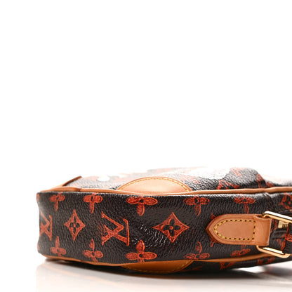 Louis Vuitton Catogram Small Paname Marron 8 of 8