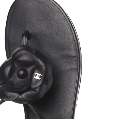 Chanel Lambskin Camellia Thong Sandals 41.5 Black 8 of 8