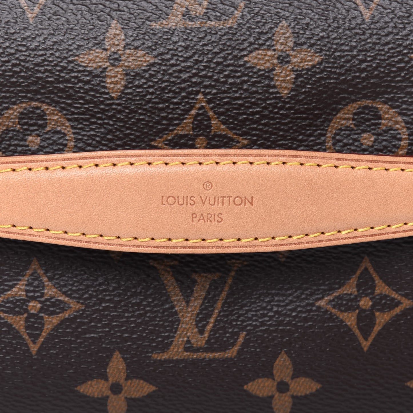 Monogram Bumbag