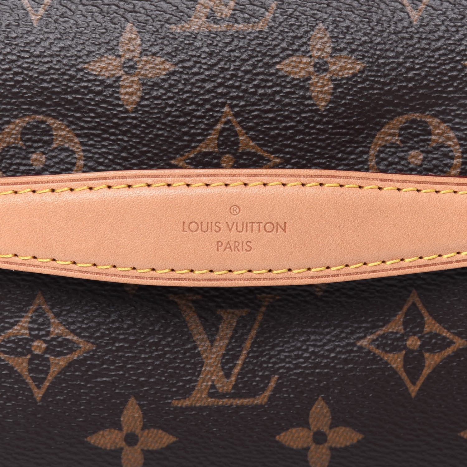 Louis Vuitton Monogram Bumbag 14 of 14