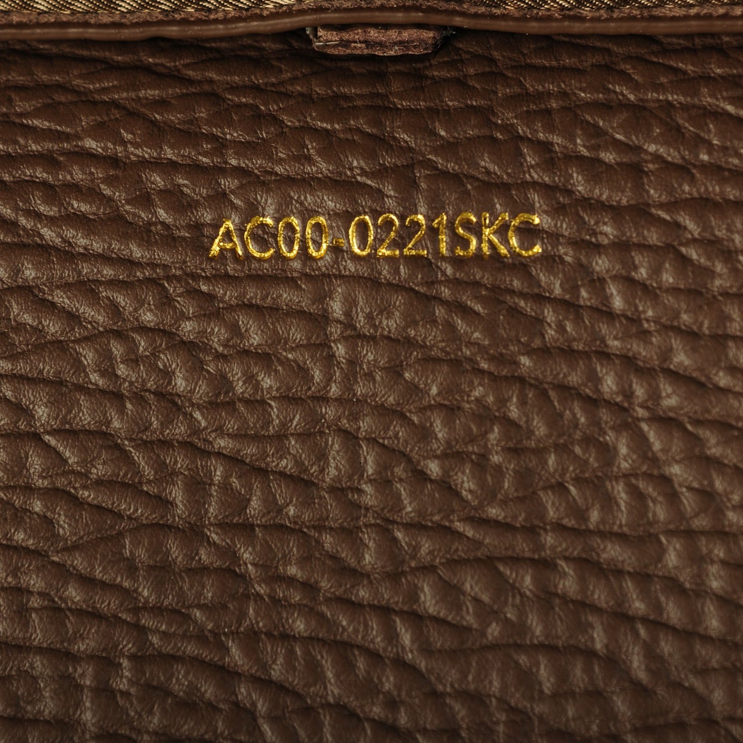 3.1 Textured Calfskin Large Pashli Satchel Taupe