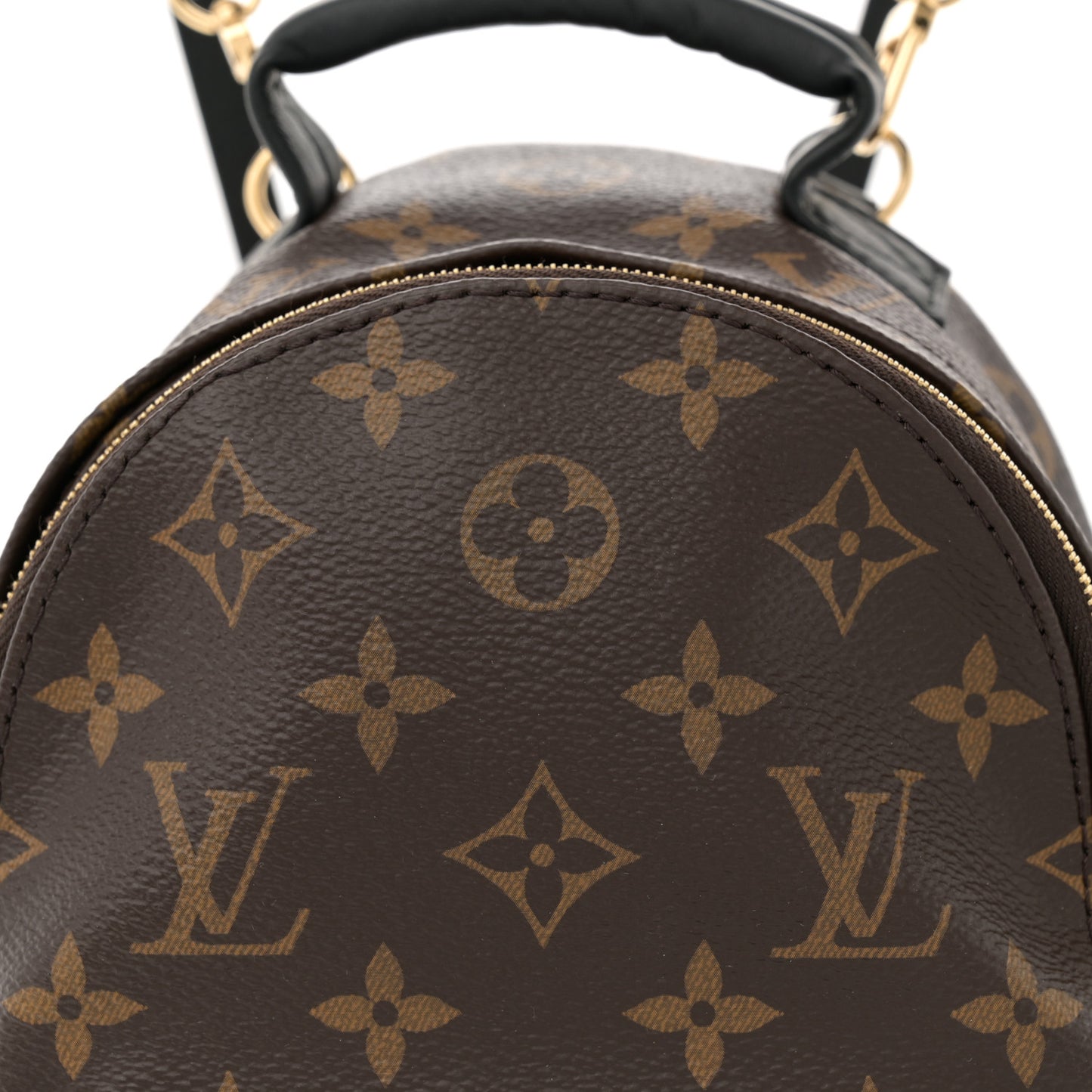 Monogram Palm Springs Backpack Mini