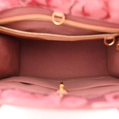 Louis Vuitton Vernis Ikat Catalina NS Bag Rose Velours 5 of 10