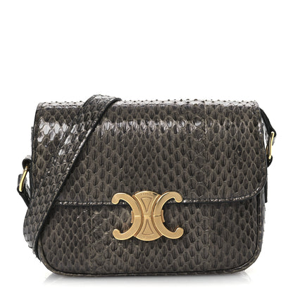 Celine Watersnake Teen Triomphe Grey 1 of 12