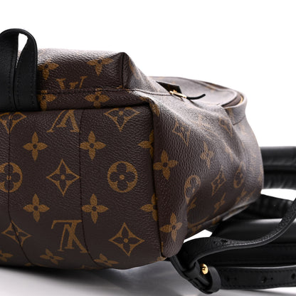 Louis Vuitton Monogram Palm Springs Backpack PM 10 of 12