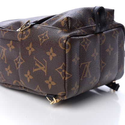 Louis Vuitton Monogram Palm Springs Backpack Mini 14 of 21