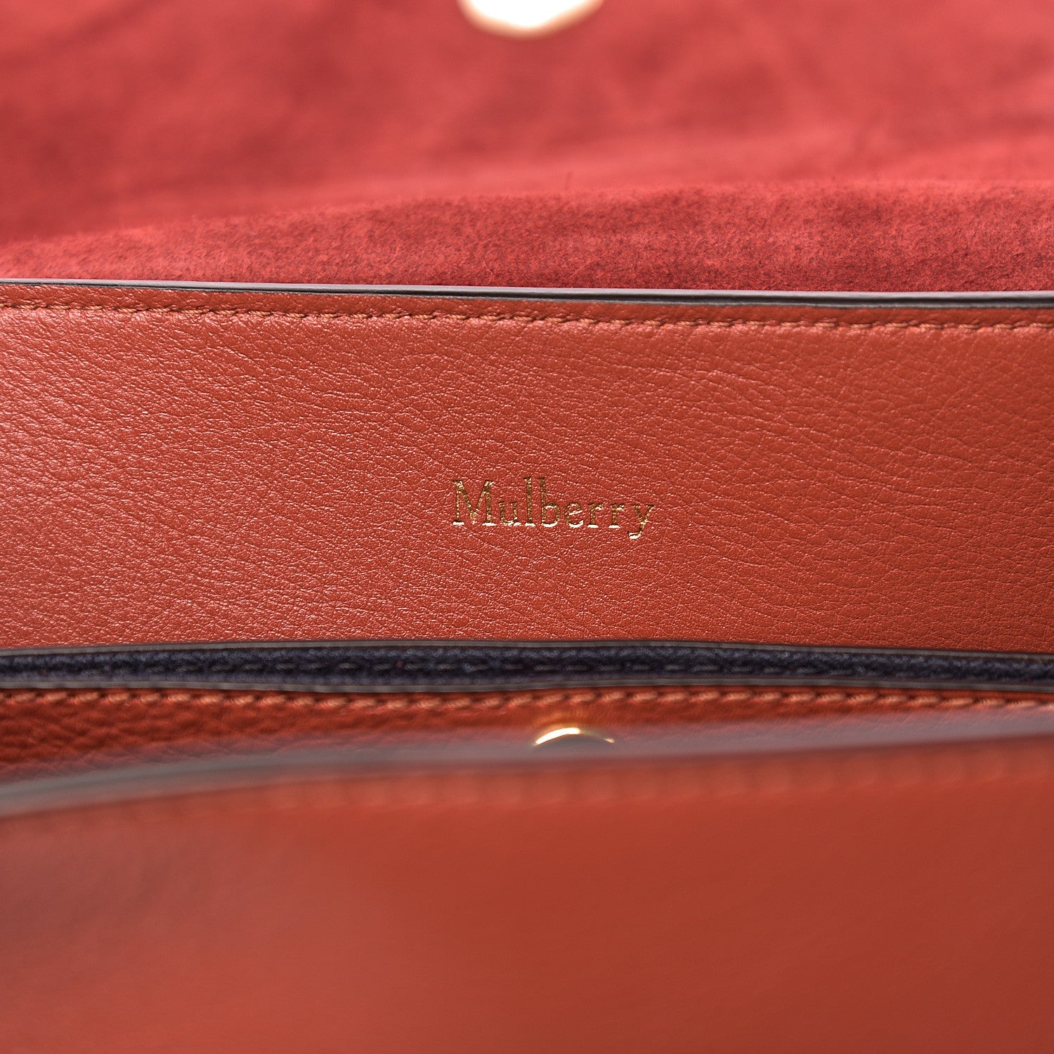 Mulberry Silky Calfskin Small Seaton Rust 5 of 9