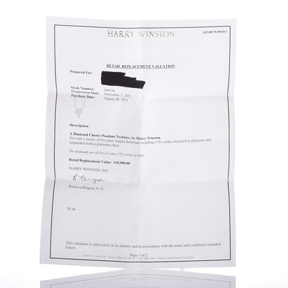 Harry Winston Platinum Diamond Small Winston Cluster Pendant Necklace 8 of 9