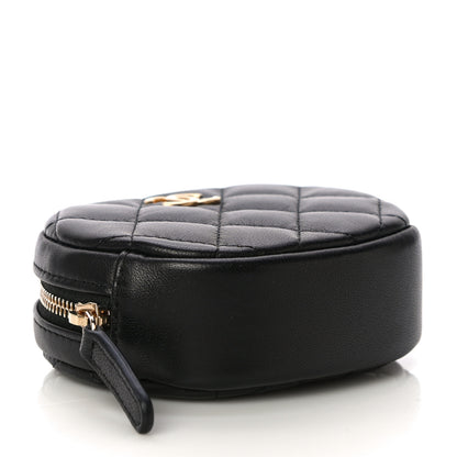 Chanel Lambskin Quilted Zip Around Classic Coin Purse Black 4 of 11