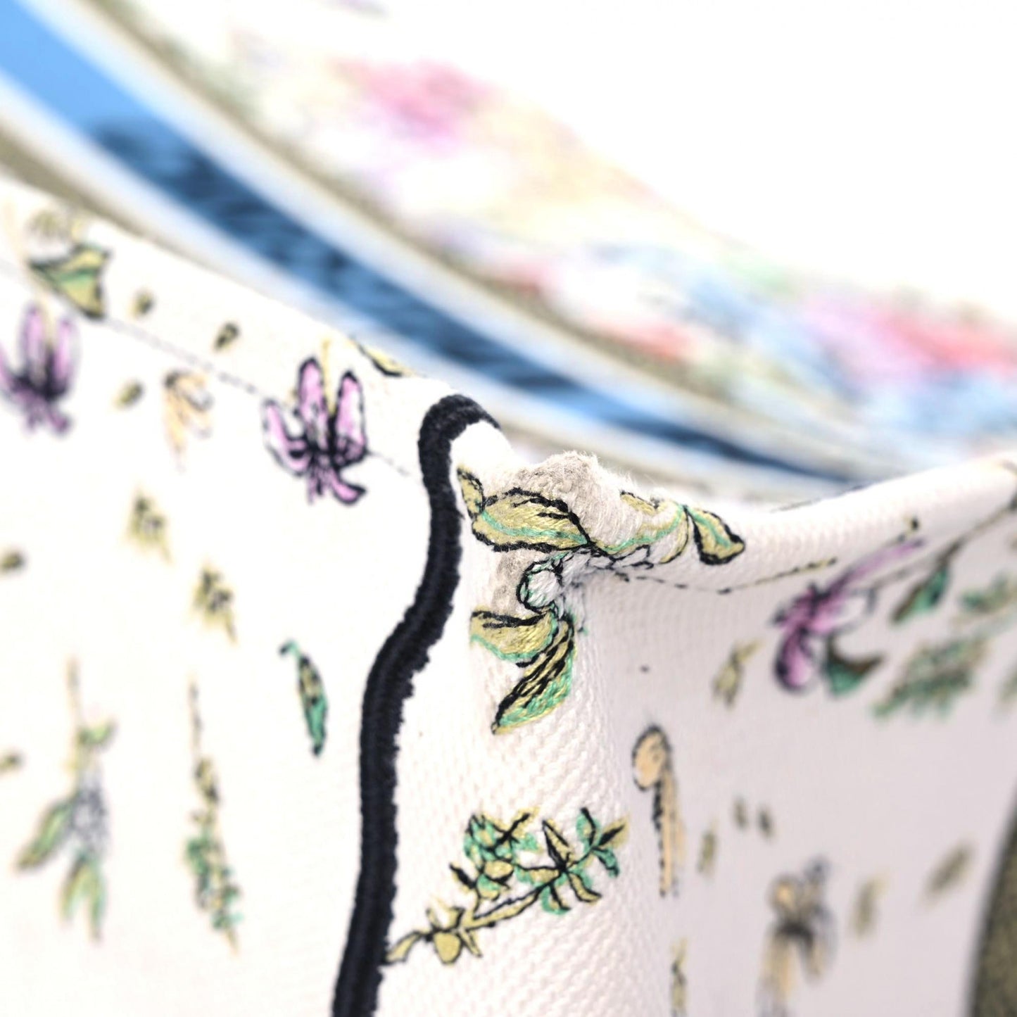 Canvas Embroidered Large D-Constellation Book Tote Latte Multicolor