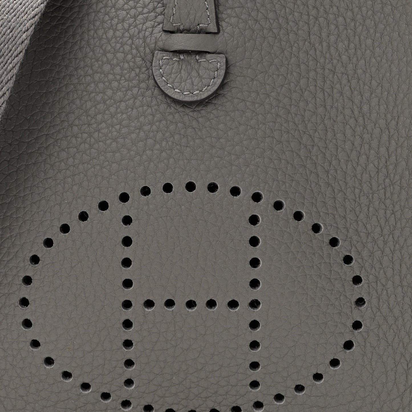 Taurillon Maurice Evelyne TPM Gris Meyer