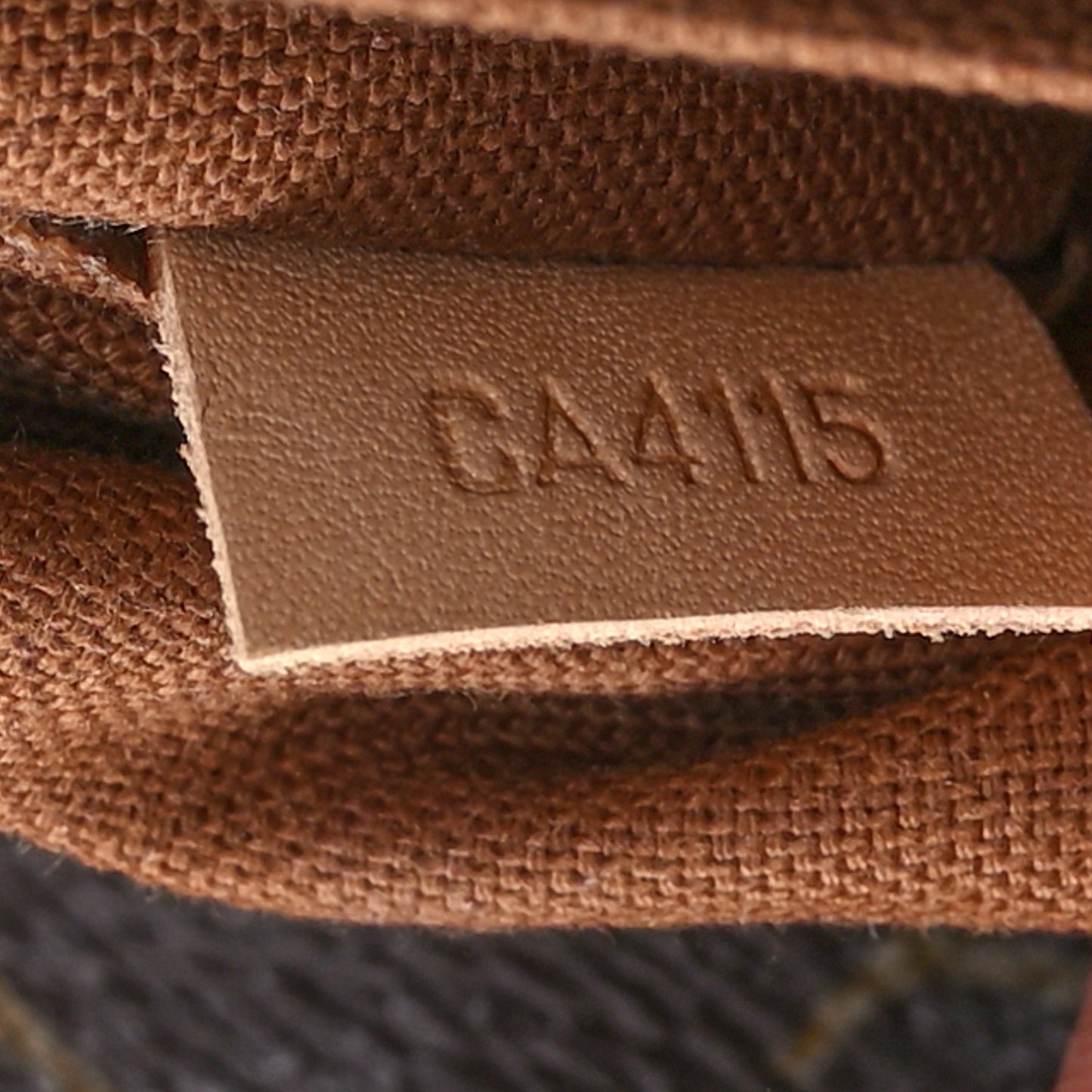 Monogram Sully MM