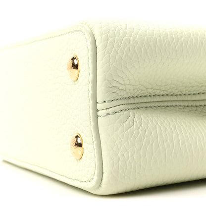 Louis Vuitton LV X TM Taurillon Mini Capucines Green 9 of 10