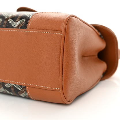 Goyard Goyardine Mini Saigon Black Gold 10 of 13