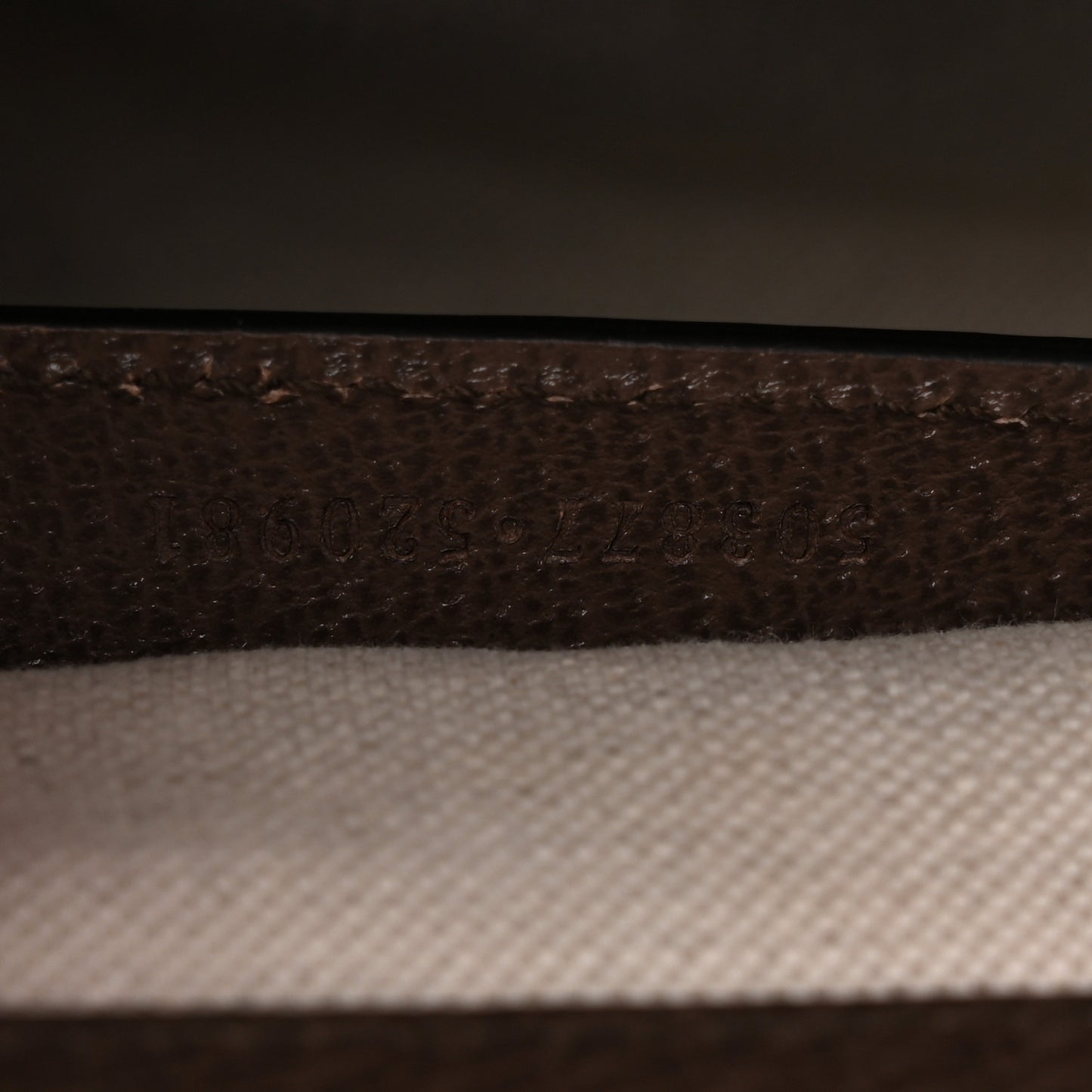 Monogram Jumbo GG Textured Dollar Calfskin Web Small Ophidia Chain Shoulder Bag Camel Ebony New Acero