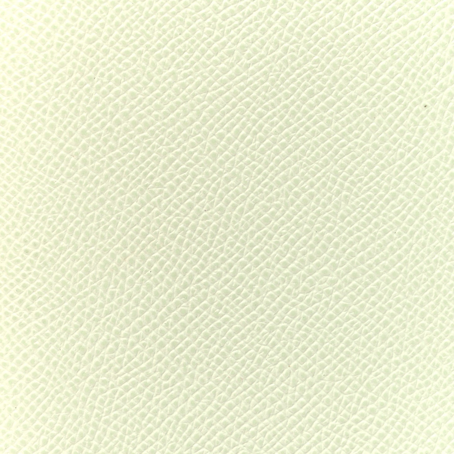Epsom Tarmac PM Passport Holder Vert Fizz
