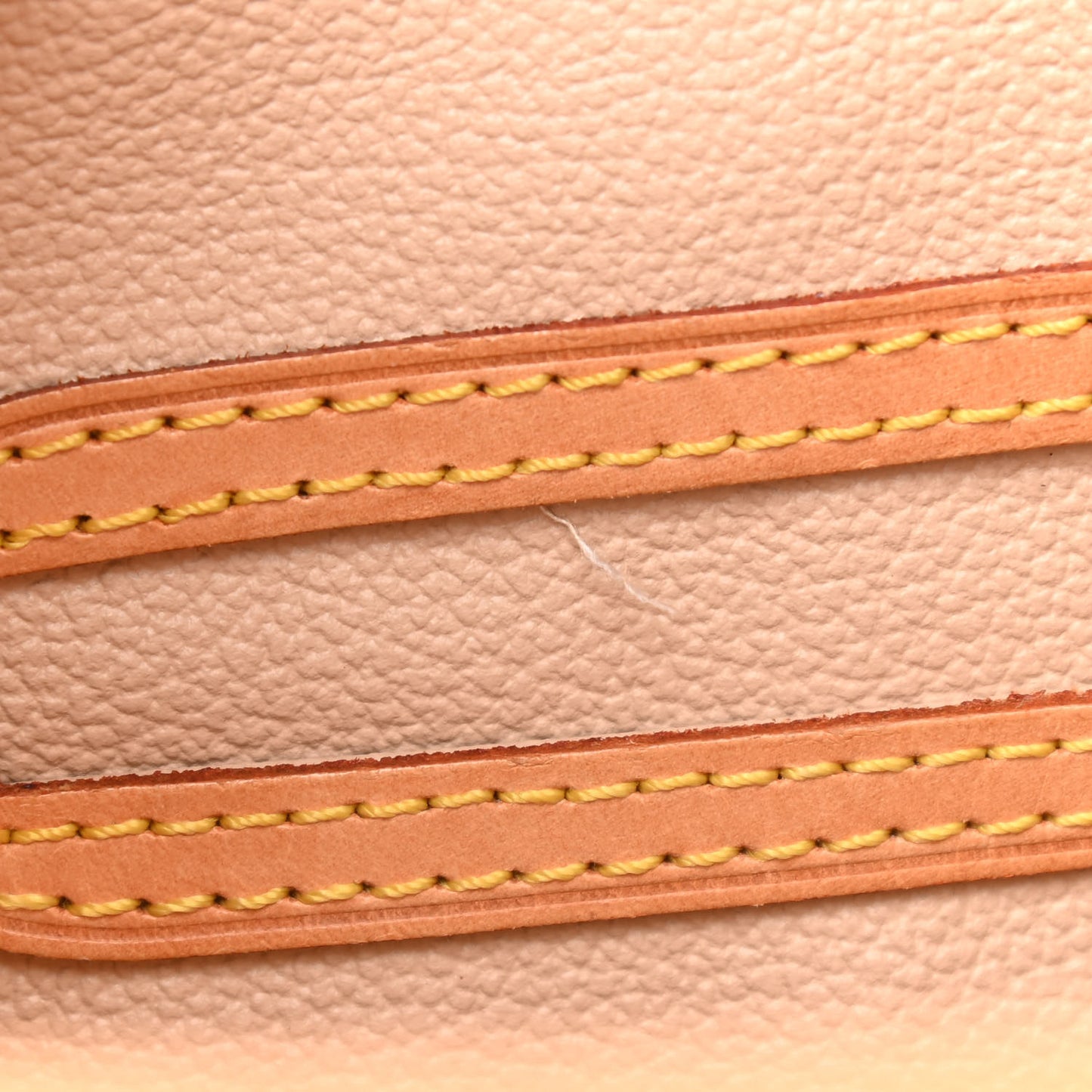 Monogram Petit Bucket 23
