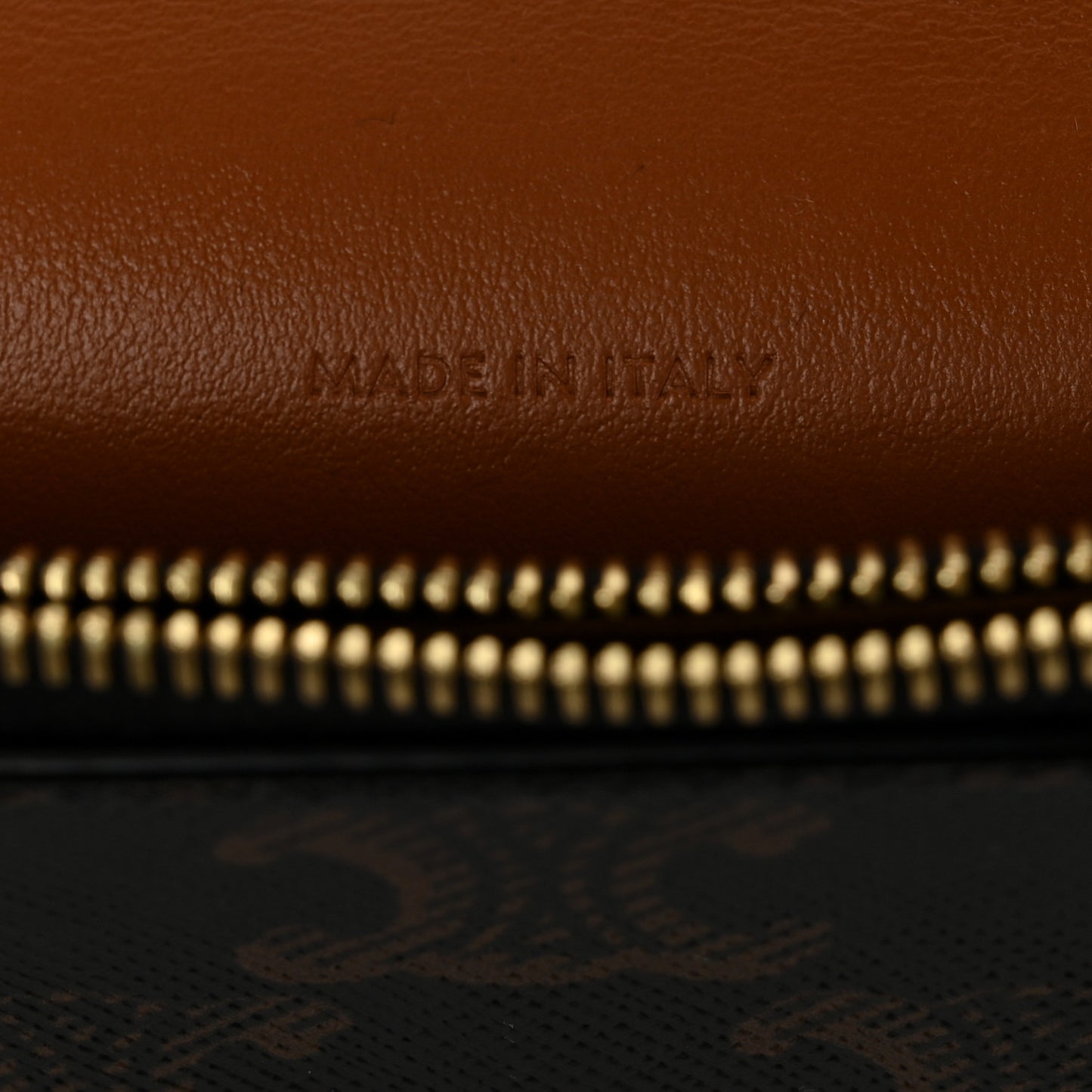 Triomphe Canvas Lambskin Wallet On Strap Tan